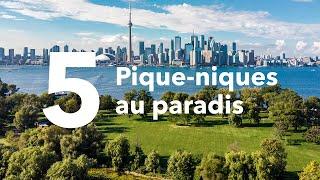 Accéder à ces 5 grands terrains de pique-nique en autobus ou en train