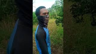 Edisi maen di kebun lagi