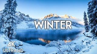 Winter Whispers - A Scenic 4K Nature Cinema With Enchanting Winter Music