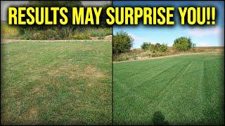 FESCUE TRANSFORMATION...What Did I Apply For QUICK RECOVERY??