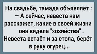 Как Невеста Огурцом Гостей Напугала Сборник Свежих Анекдотов Юмор