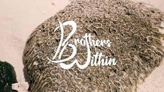 Brothers Within - MindSurf Official Music Video feat. Kat Hall