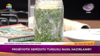 Probiyotik Semizotu Turşusu