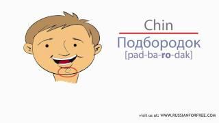 Parts of the body in Russian - Learn Russian with us
