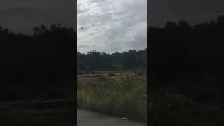 Pesawat RC Plane Chessna Low pass On street  DIY Aeromodeling