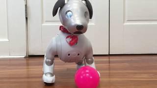 Aibo ERS-1000 Doing Tricks with the Ball and Aibone