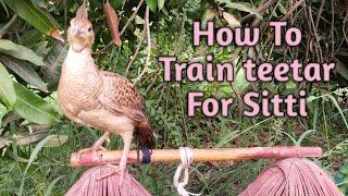 how to train #iraniteetar on sitti #desiteetar #dakhniteetar #iraniteetar