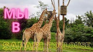 Зоопарк Тулузы САФАРИ  Toulouse Zoo SAFARI