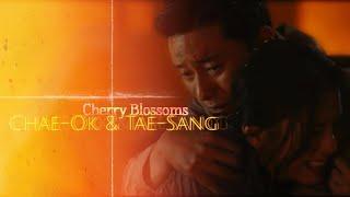 Chae-Ok & Tae-Sang Cherry Blossoms