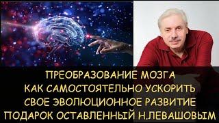  Эволюционное преобразование мозга от Николая Левашова - как самостоятельно ускорить свое развитие