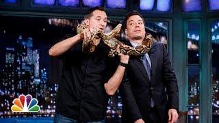 Jeff Musial Baby Kangaroo Cougar Boa Constrictor Part 1 Late Night with Jimmy Fallon