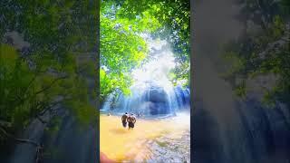 Guess the place #kerala #keralawaterfalls #keralatourism #warerfalls #touristplace #idukki #wayanad