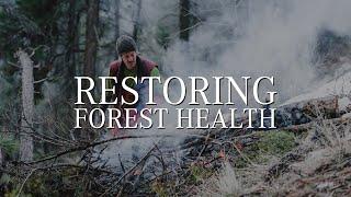 Restoring Forest Health • Wilden Fire Mitigation Kelowna BC