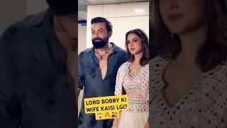 LORD BOBBYABRAR ENTRY JAMAL KUDU SONG DANCE ANIMAL  RANBIR RASHMIKA BOBBY DEOL TRIPTI DIMRI #short