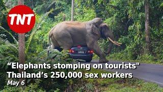 “Elephants stomping on tourists”? Thailand’s 250K sex workers - May 7