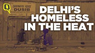 192 Deaths in 9 Days Homeless in Delhi Shelters Suffer Amid Heat Wave  The Quint