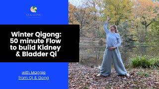 Winter Qigong for Kidneys & Bladder 50 minute Flow