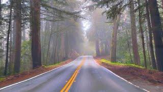 Live in Silicon Valley from Half Moon Bay skyline blvd iconic route to San jose