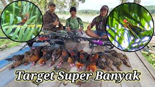 BERBURU AYAM HUTAN SAWIT Part 29  Target Super Banyak