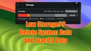 How to Free up System Data and fix low storage Errors