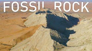 Hiking Fossil Rock in Dubai Desert  United Arab Emirates