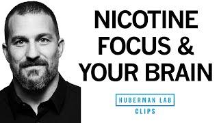 How Nicotine Impacts Your Brain & Enhances Focus  Dr. Andrew Huberman