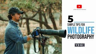 5 Simple Tips for WILDLIFE PHOTOGRAPHY  हिंदी में