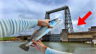 This FLOODGATE was LOADED with FISH Fishing before HURRICANE BERYL Catch Clean Cook