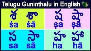 sa sha sa ha guninthalu in English  శ ష స హ గుణింతాలు How to write telugu guninthalu