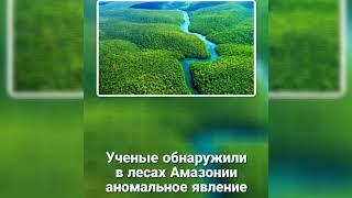 Аномалии в лесах Амазонии