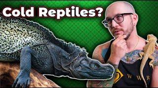 You Can Keep These 5 Reptiles OUTSIDE In ANY Climate Heres How