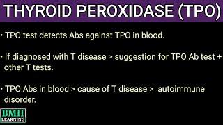 Thyroid Peroxidase  TPO  Anti TPO Antibodies  Thyroid Antibodies 