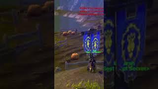 teamwork capturing flags. #wowclassic #wow #rogue #gameplay #gaming #shorts #pvp