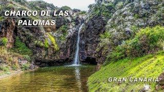 GRAN CANARIA -  SENDERISMO CHARCO DE LAS PALOMAS EN TEJEDA.