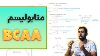 متابولیسم اسید های امینه شاخه دار  BCAA Metabolism  بیوشیمی