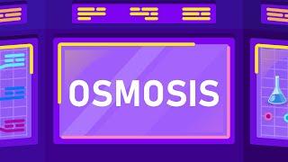 What is Osmosis?