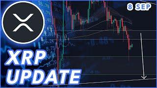 RIPPLE SEC APPEAL UPDATE  RIPPLE XRP PRICE PREDICTION & NEWS 2024