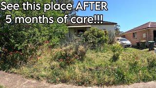 RETURN to THE MOST NEGLECTED YARD EVER 4 VIDEOS in 1