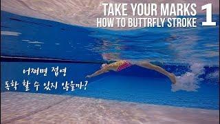 ENGCHN 이현진 수영 TYM  접영 기초 발차기 하기 & 웨이브놀이하기  How to butterfly stroke  - 1