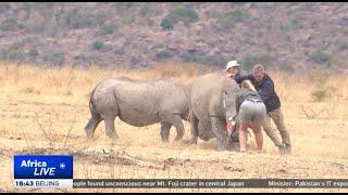 South Africa adopts aggressive approach to deter poachers
