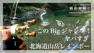 毎夏恒例【Bigジャンプ↑】ワイルドでパワフルな初夏の北海道山岳【レインボートラウト】との出会い #鱒釣旅録 2022