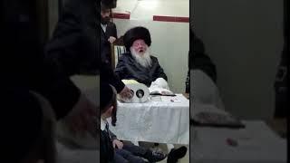 Hakafos Shniyos With Lelover Rebbe - 20175778