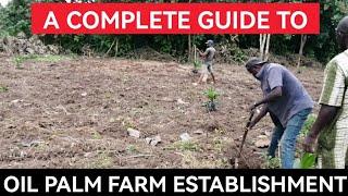 Complete Guide To Oil Palm Farm Establishment Operations