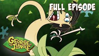 George Of The Jungle  The Naked Ape  HD  English Full Episode  Funny Videos For Kids