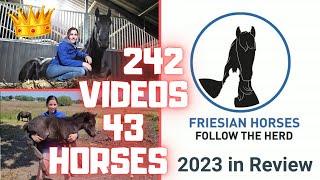 Friesian Horses Review 2023  Wow What a year Dreams came true thanks admins️ Friesian Horses