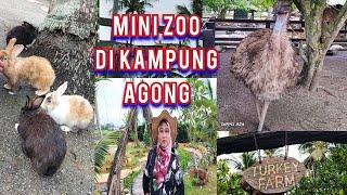 KAMPUNG AGONG PENAGA PENANG ADA MINI ZOOTEMPAT MENARIK DI PULAU PINANG #kampung