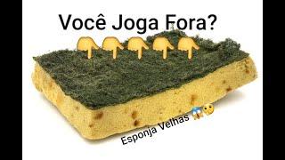 RECICLE Esponjas Velhas. Artesanato Faça Você mesmo Decorar e Organizar Casa. Dicas Rápidas