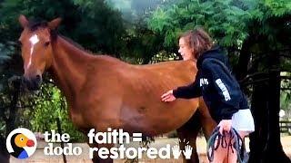 Girl Hears Whats Happening To Horses In Australia — So She Does THIS  The Dodo Faith = Restored