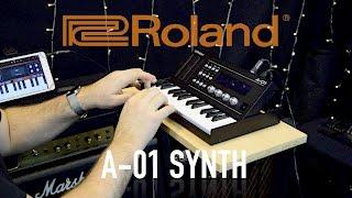 Roland A-01  Synth MIDI Controller & Sound Generator