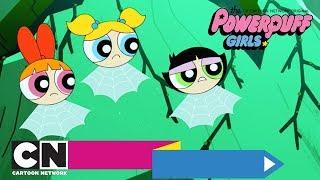 Die Powerpuff Girls  Spinnensinne Ganze Folge  Cartoon Network